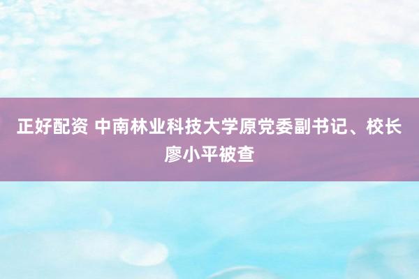 正好配资 中南林业科技大学原党委副书记、校长廖小平被查