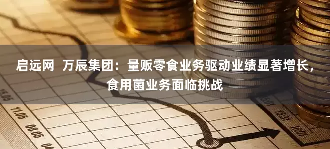 启远网  万辰集团：量贩零食业务驱动业绩显著增长，食用菌业务面临挑战
