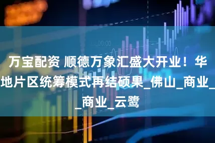 万宝配资 顺德万象汇盛大开业！华润置地片区统筹模式再结硕果_佛山_商业_云鹭