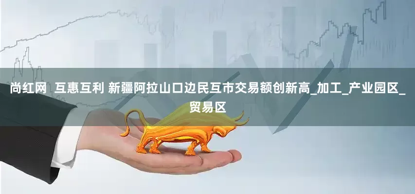 尚红网  互惠互利 新疆阿拉山口边民互市交易额创新高_加工_产业园区_贸易区