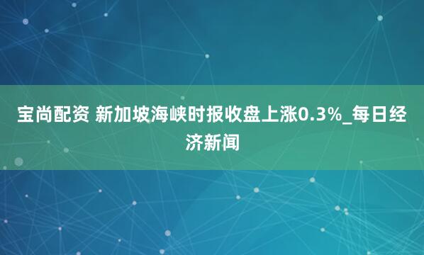 宝尚配资 新加坡海峡时报收盘上涨0.3%_每日经济新闻