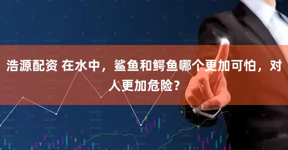 浩源配资 在水中，鲨鱼和鳄鱼哪个更加可怕，对人更加危险？