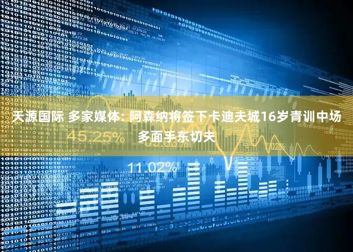 天源国际 多家媒体: 阿森纳将签下卡迪夫城16岁青训中场多面手东切夫